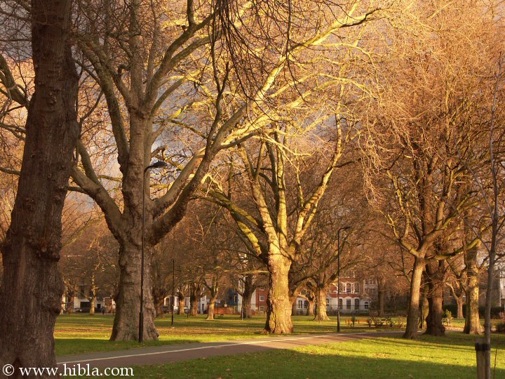 Hibla: December 31 3:50 PM the Capricorn Sun  sets on London Fields  Click for next picture