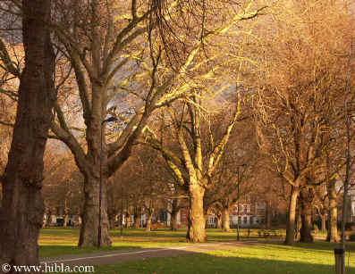  Hibla: December 31 3:50 PM the Capricorn Sun  sets on London Fields  Click to Enlarge Picture